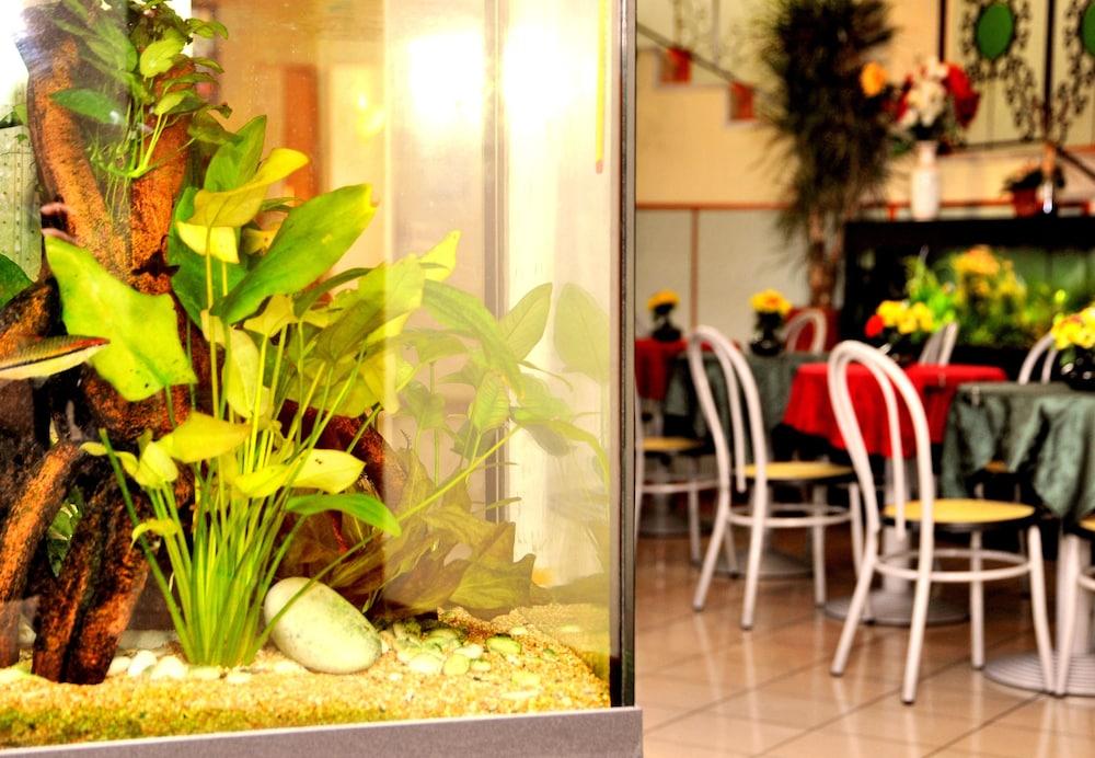 מילאנו Hotel San Siro Fiera מראה חיצוני תמונה